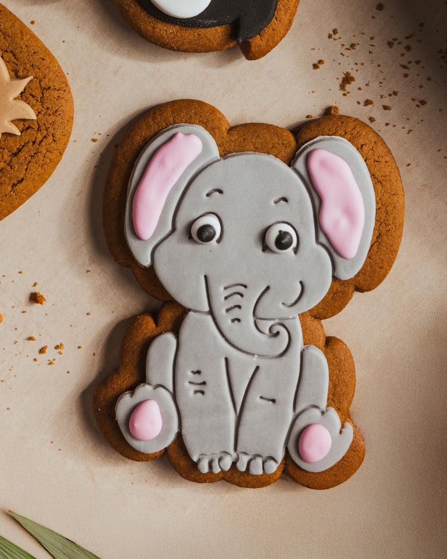 Elephant Ginger Biscuit