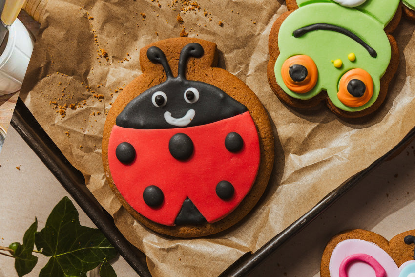 Lucy the Ladybird Ginger Biscuit