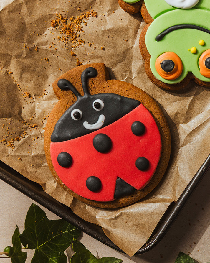 Lucy the Ladybird Ginger Biscuit