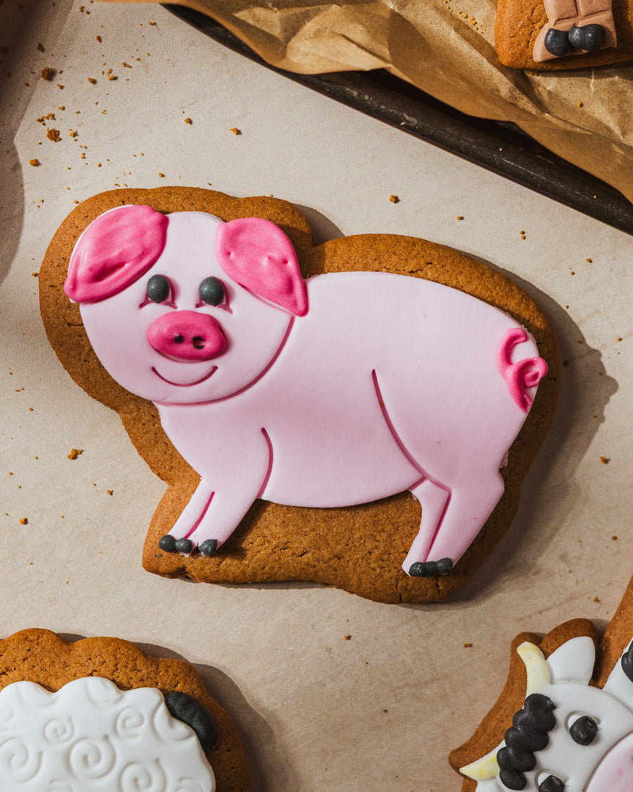 Penny the Pig Ginger Biscuit